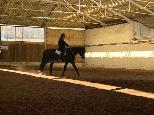 Equi Nosce