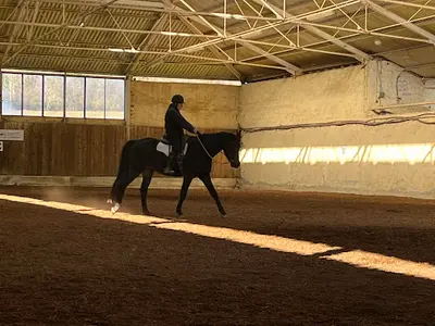 Equi Nosce