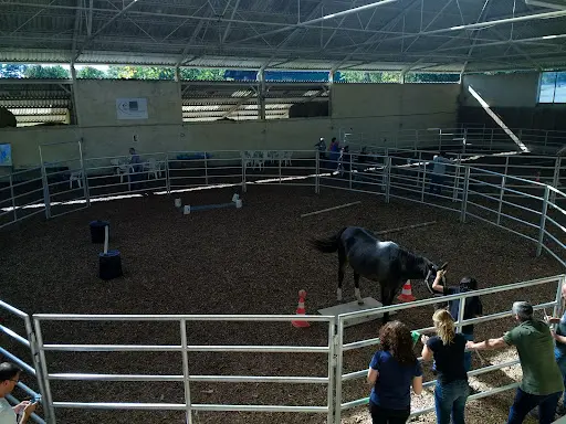Rec Farm