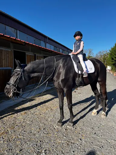 Centre Equestre - Equ Ain