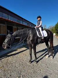 Centre Equestre - Equ Ain
