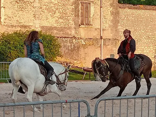 Eq Art, Spectacles Équestres, Eq’art et Sens, Médiation Équine