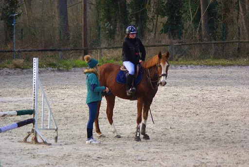 Écurie Caroline Dieudonné - Haras de Launay
