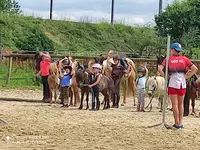 Equi Jump