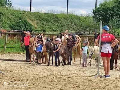 Equi Jump