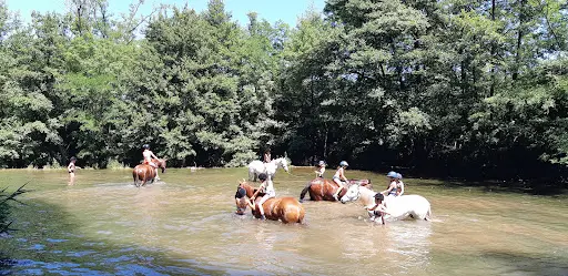 Cheval Vert Equitation
