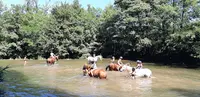 Cheval Vert Equitation