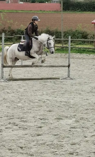 Ecurie Saint Waast Sarl