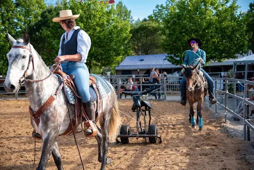Fête du Cheval Monclar de Quercy