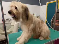 La Beauté Animale Marinette