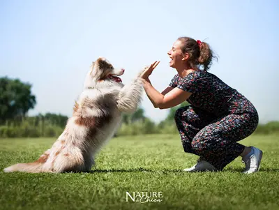 Canaya- Kinesiologue et Comportementaliste Canin