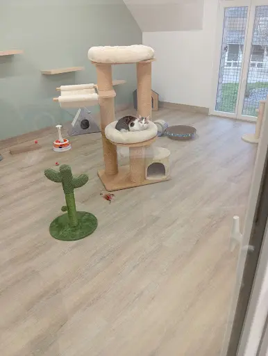 Le Chat’l’heureux