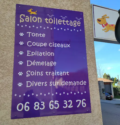 Planete Toutou Bis