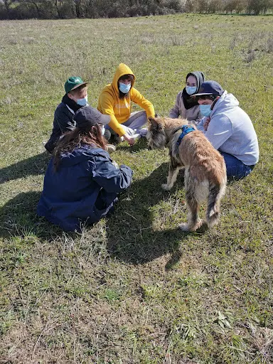 Cani Coach Malin - Éducatrice Comportementaliste Canin