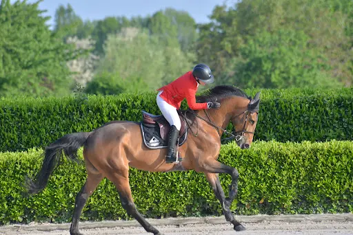 Dem - Domaine Équestre de Monnières