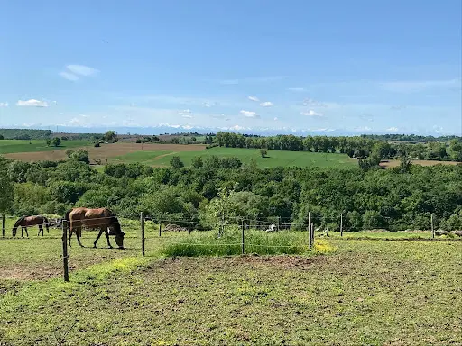 Ecuries Mons Équitation