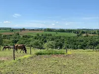 Ecuries Mons Équitation