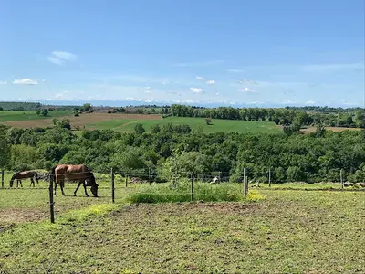 Ecuries Mons Équitation