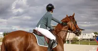 Axelle Équitation