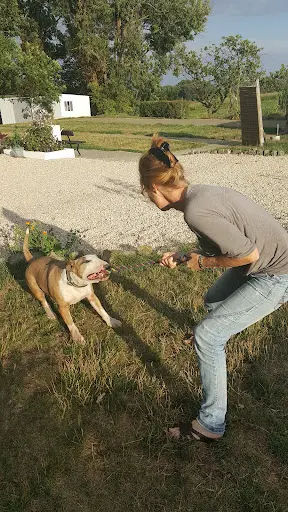 Chien Village Vacances
