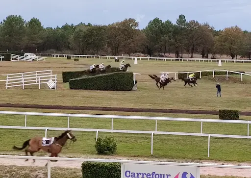 Société Courses Chevaux