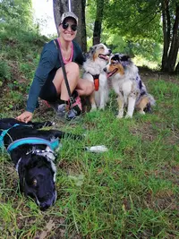 Wheels, Dogs & Art Jeanette Leitgeb