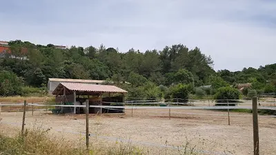 Centre Equestre les Chevaux de l'Émotion