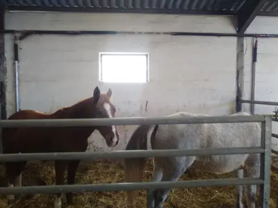 Ecurie de Montagnole - Centre Equestre