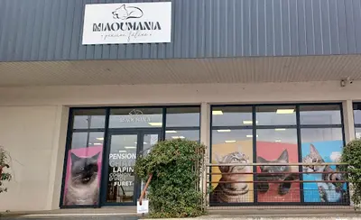 Pension Féline Miaoumania. Garde Pour Chats, Lapins, Cochon d'Inde et Furets en Vendée.
