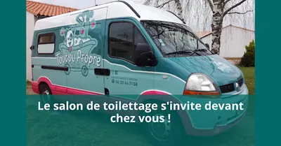 Toutou Propre Toilettage Ambulant