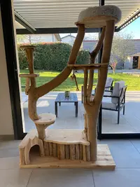 Ch Adore - Arbres À Chats en Bois Désign