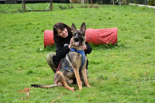 Athena Médiation Canine
