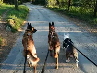 Educateur Canin Humanocanis