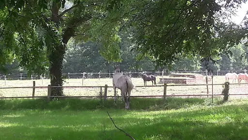 Ladhuie Équitation