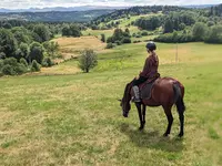 Equi Cantal