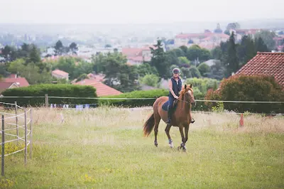 Instant Présent Équitation et Équicoaching