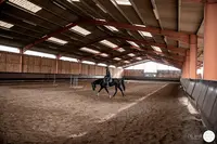 Hippo Thèse
