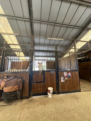 Poney Club de Montech