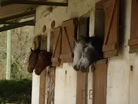 Centre Equestre Poney Club de Monteils Villefranche