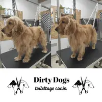 Dirty Dogs