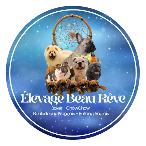 Élevage Beau Rêve Drôme Ardèche
