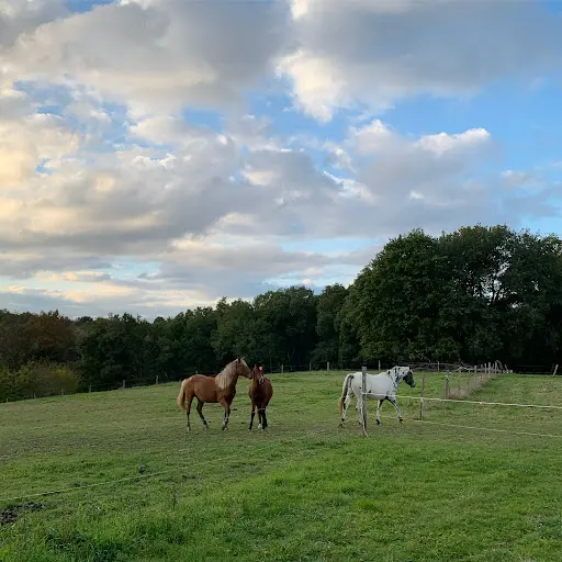 Le Ranch de la Merre