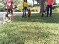 Nicolas Meyer - Comportementaliste Animalier & Éducateur Canin Vaucluse