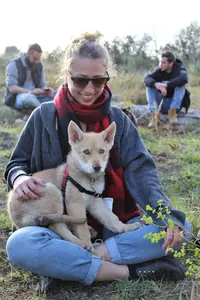 Seren Dog - Éducateur Canin sur Montpellier et Ses Alentours - Dogsitter