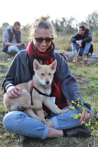 Seren Dog - Éducateur Canin sur Montpellier et Ses Alentours - Dogsitter