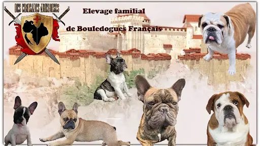 Élevage des Croisades Ariégeoises
