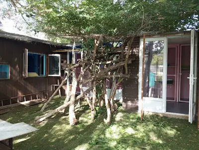 Association le Club Med des Chats