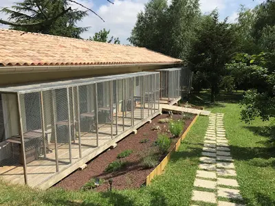 Pension Entre Chats , Pension Chats Toulouse