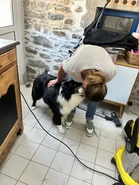 Bella Beauty Toilettage