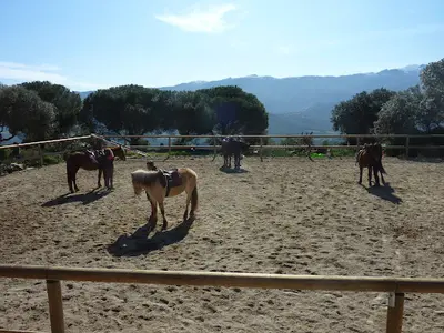 La Tribu de Philia Centre de Mediation Equine